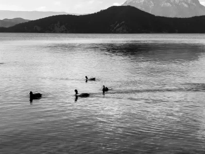 Kasino Midas Mobiilisovellus